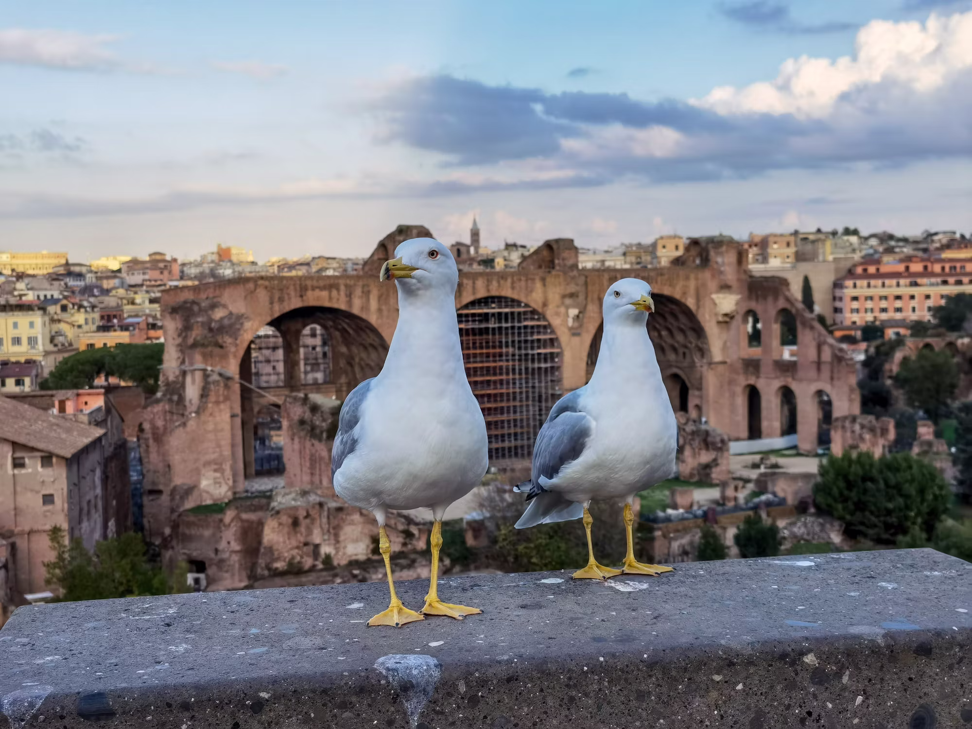 Embracing Change: How to Thrive in Evolving Relationships