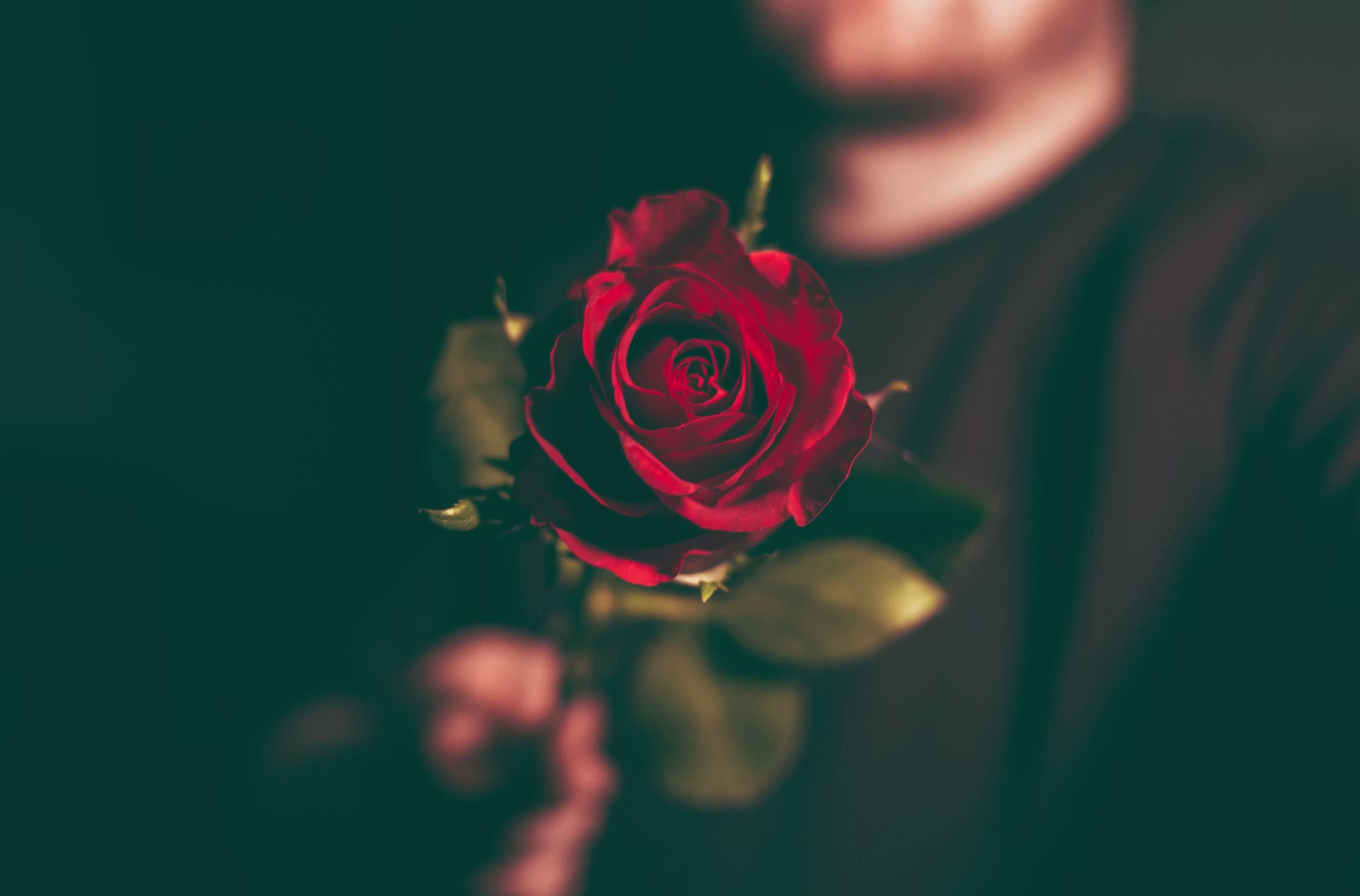 Exploring the Depths of Supportive Romance: Building Stronger Connections